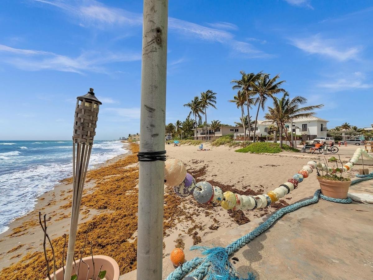 The Shell On Walnut 1Br1Bath Hollywood Beach Free Parking Dania Beach Eksteriør bilde