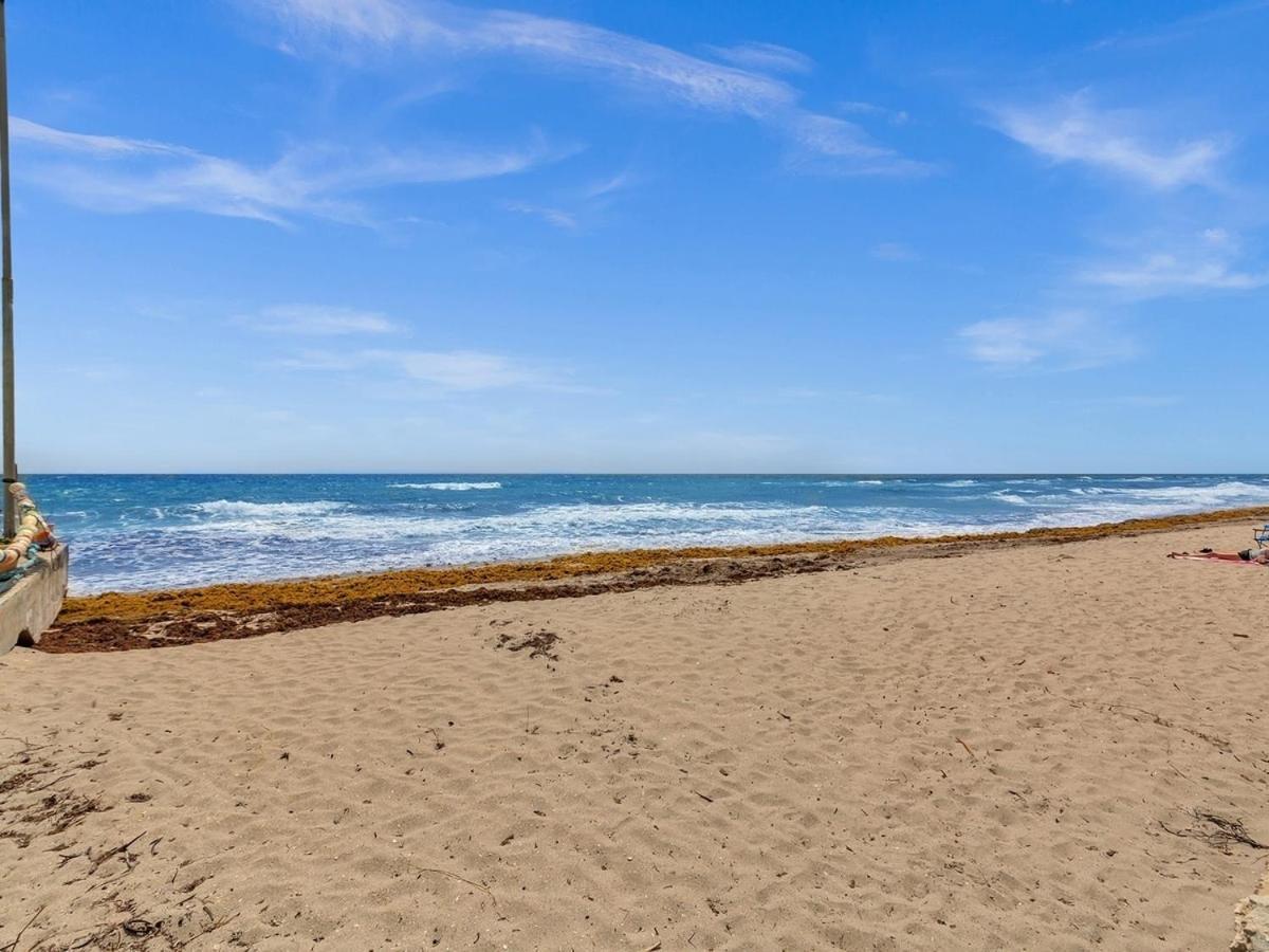 The Shell On Walnut 1Br1Bath Hollywood Beach Free Parking Dania Beach Eksteriør bilde